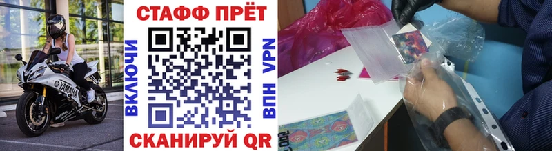 Где купить наркотики Гвардейск Гашиш  АМФ  A-PVP  Меф мяу мяу  Каннабис 