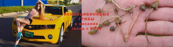 кокаин премиум Алексеевка