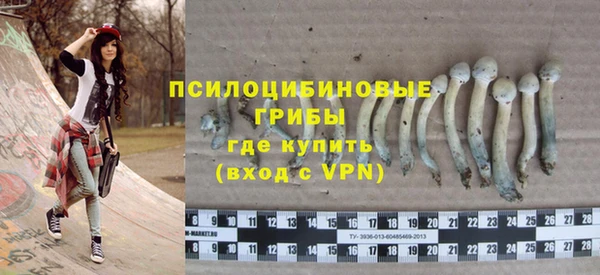 МДПВ Алзамай