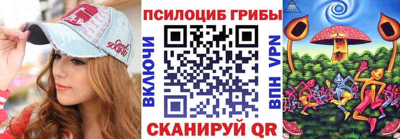 Псилоцибиновые грибы Psilocybe  Гвардейск 